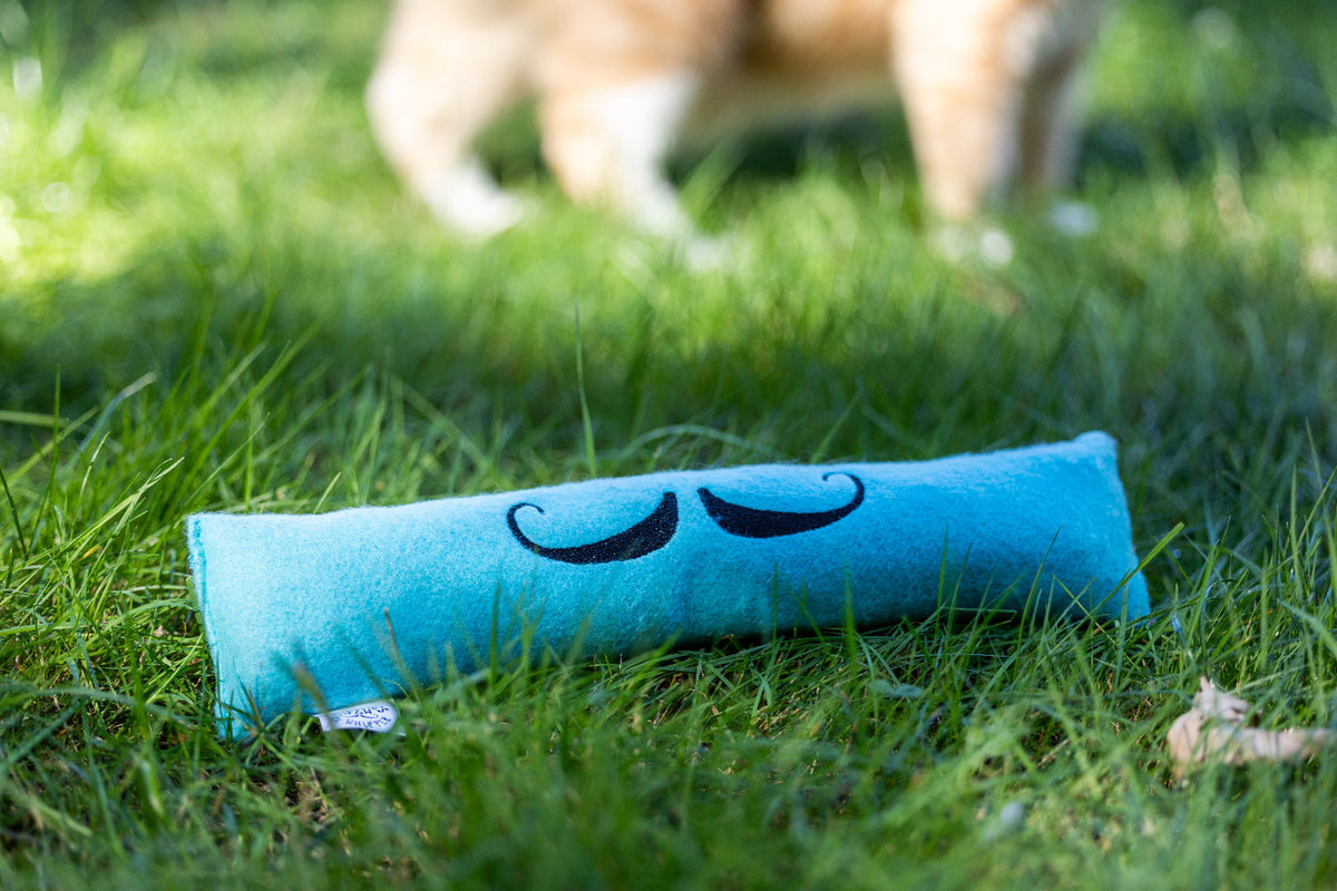 JZW | Scipio Cat Toy! | Pack of 1