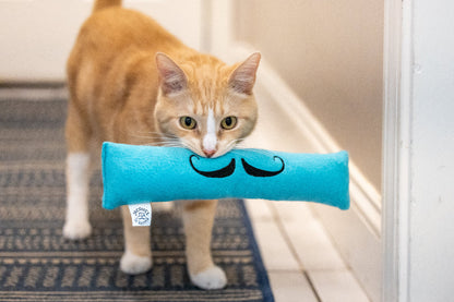 JZW | Scipio Cat Toy! | Pack of 1